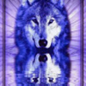 Meet your Posher, Sandi